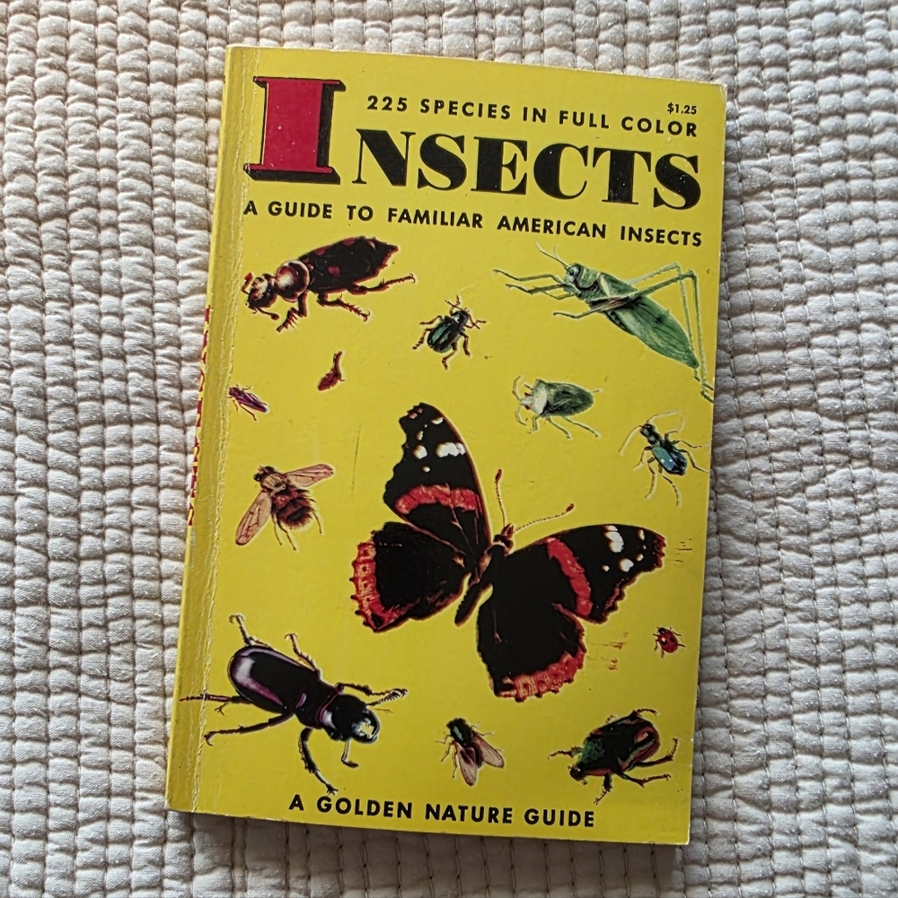 Vintage Book | Golden Nature Guide | Insects